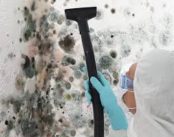 Best Mold Odor Removal Services  in Pine Grove Mills, PA